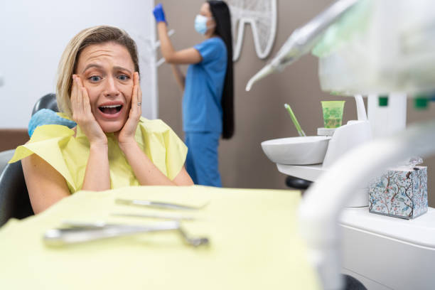 Best Broken or Chipped Tooth Repair in Wilder, KY